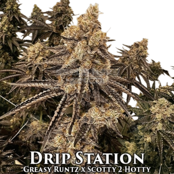 Drip Station